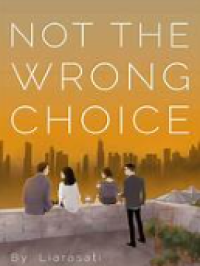 Image of Not The Wrong Choice